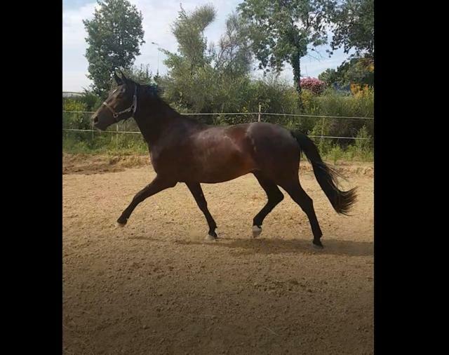 ペルピニャン Haras Des Arcadesヴィラ エクステリア 写真